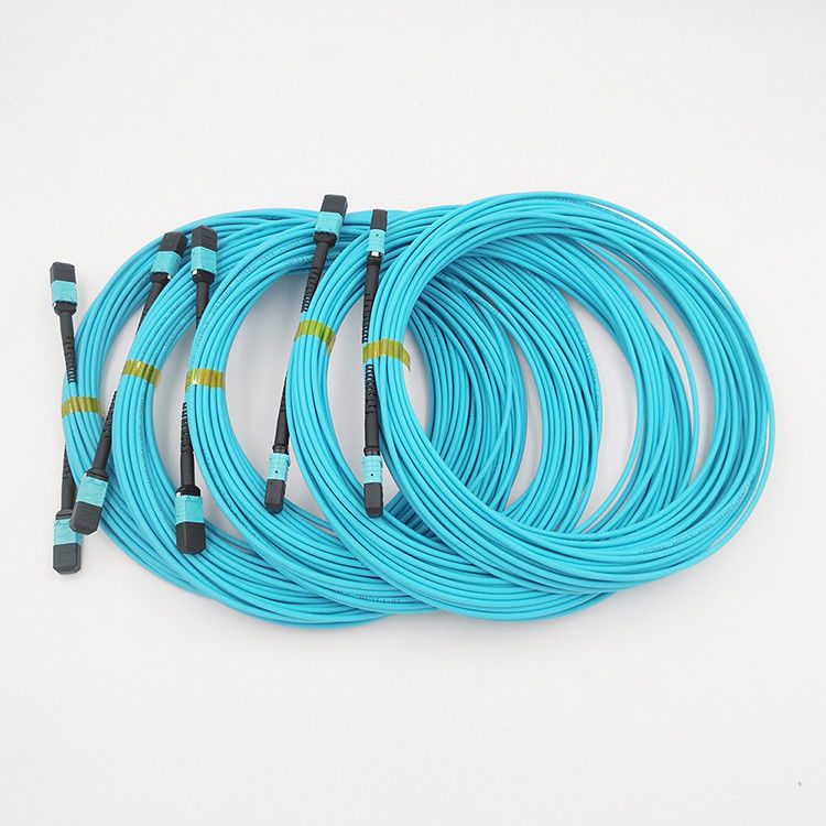 Hochiry MPO/MTP-Boomstamkabel 12 Vezels typt Koord van het de Vezelflard van B Multimode OM4